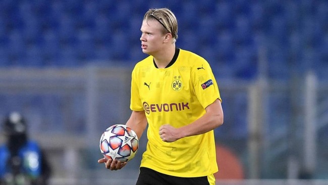 都会导致 都会导致