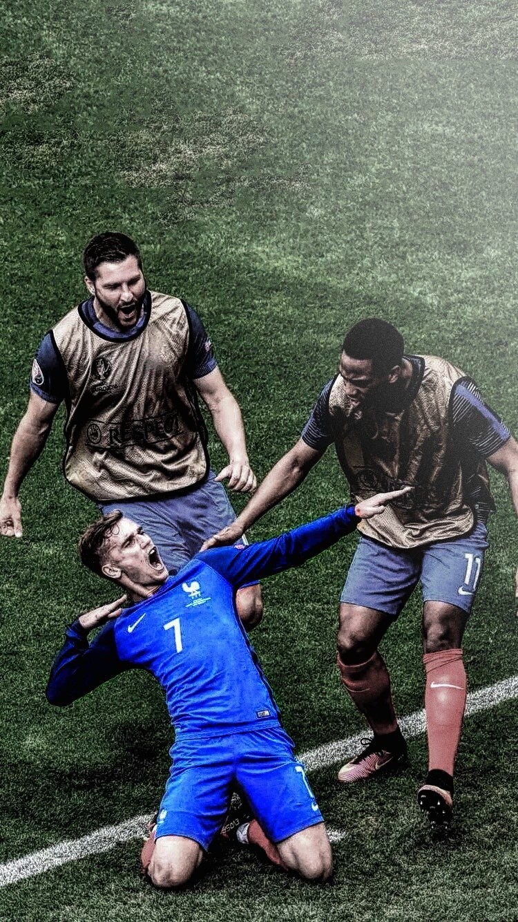 的现实评估 的现实评估