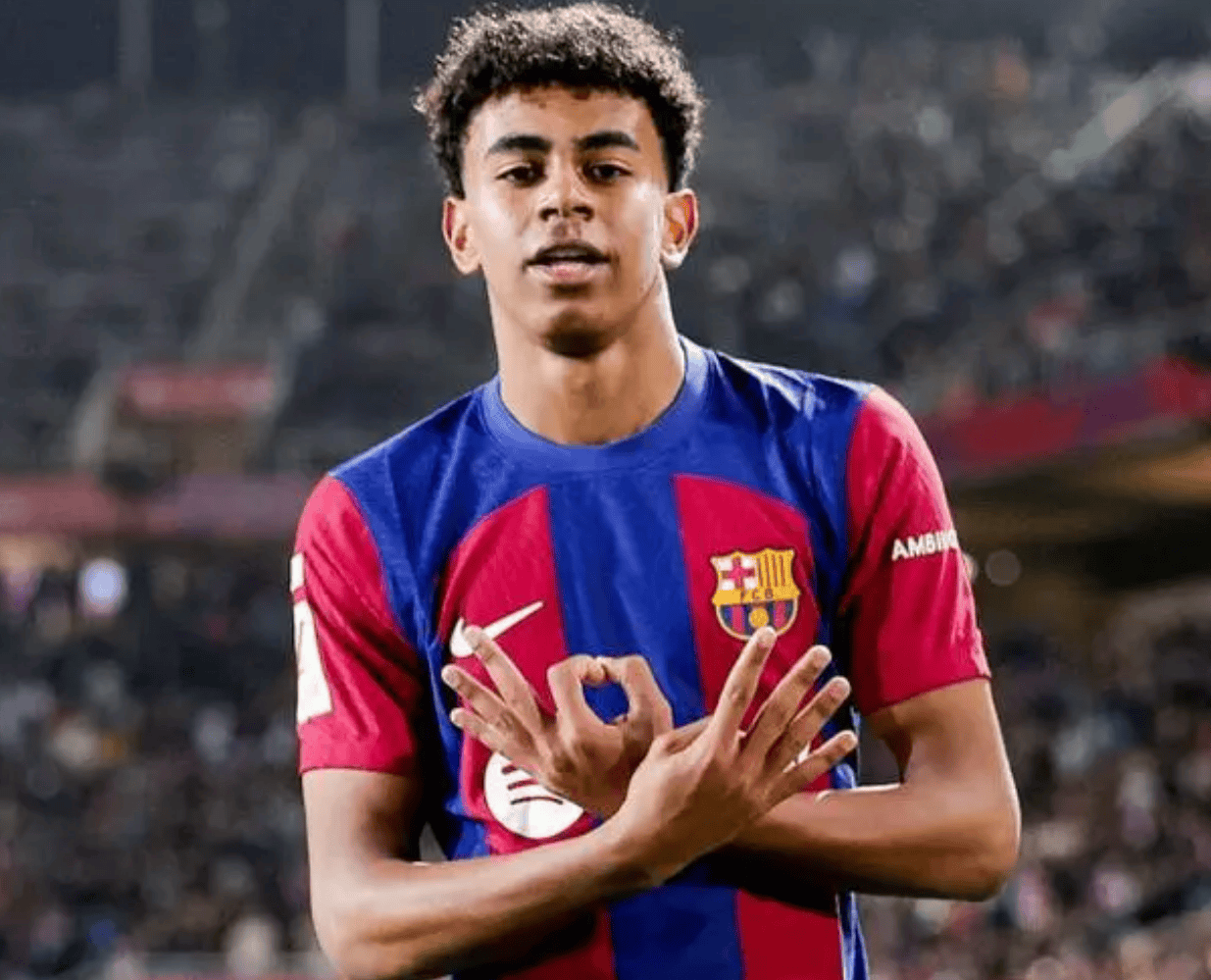 而是可训练 而是可训练