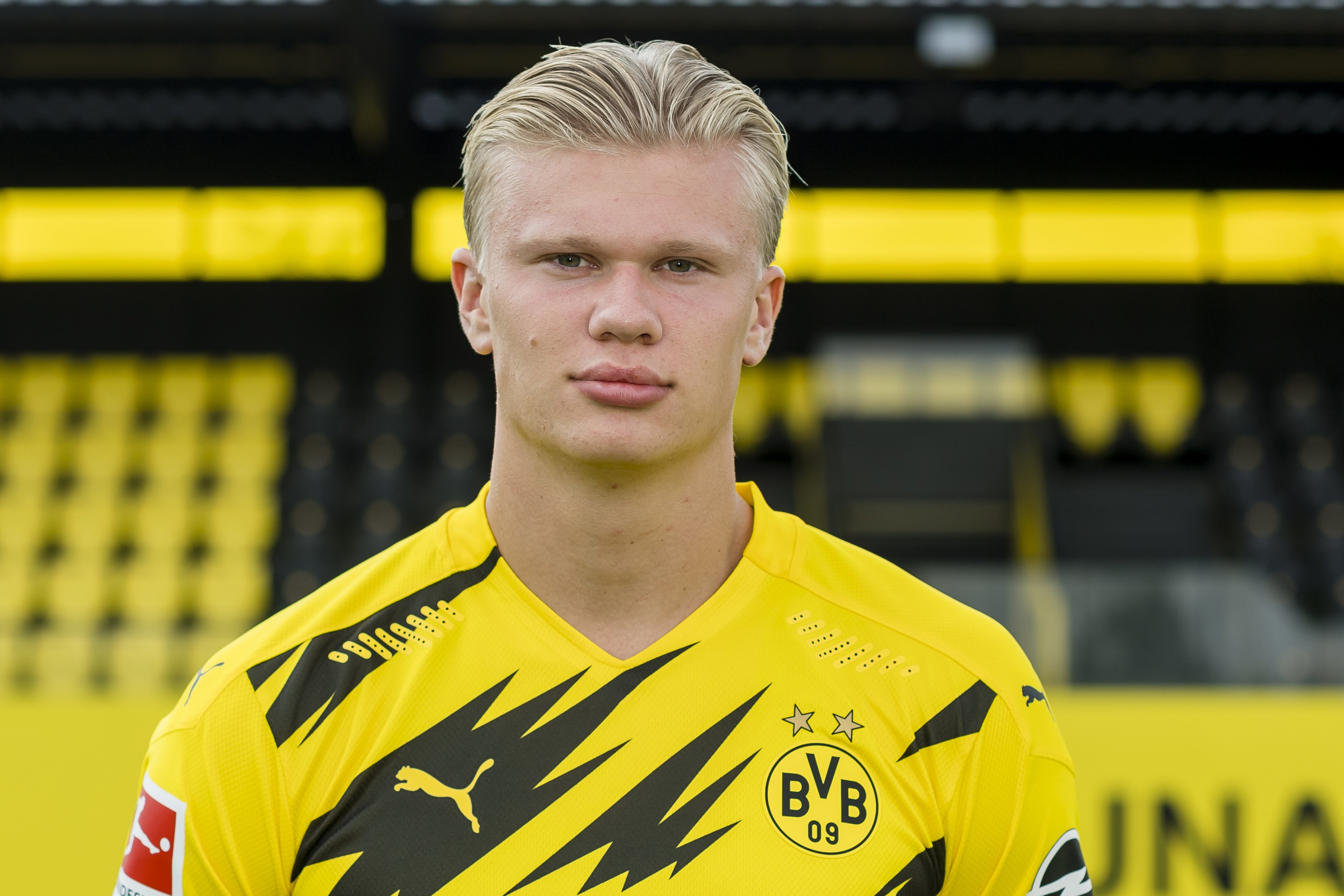 回报品类 回报品类